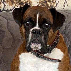 Meet your Posher, Arlene